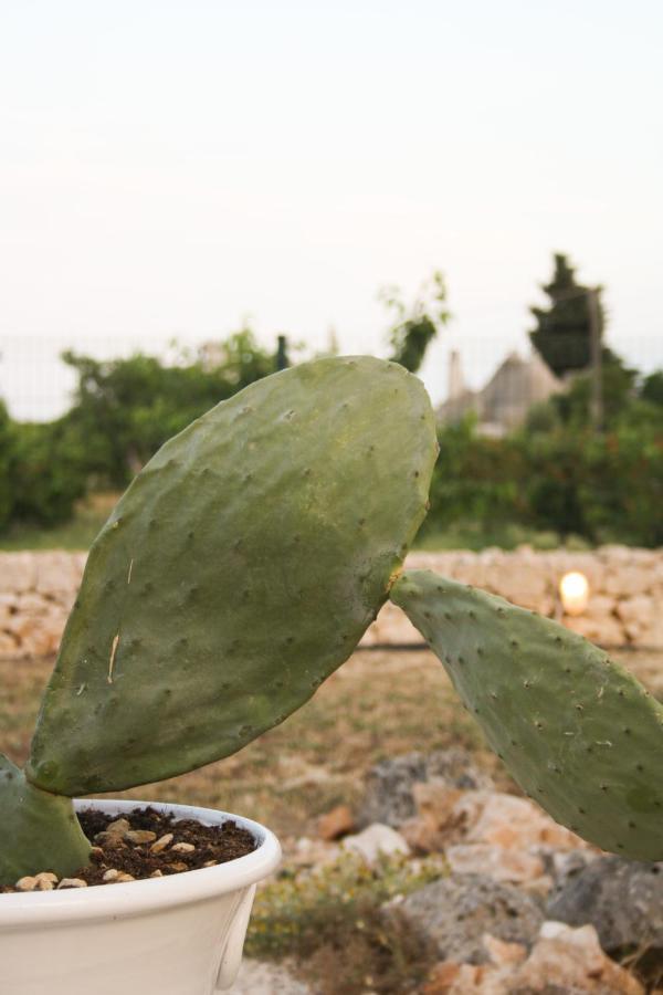 Villa Enjoytrulli - Countryside Noci Exterior foto